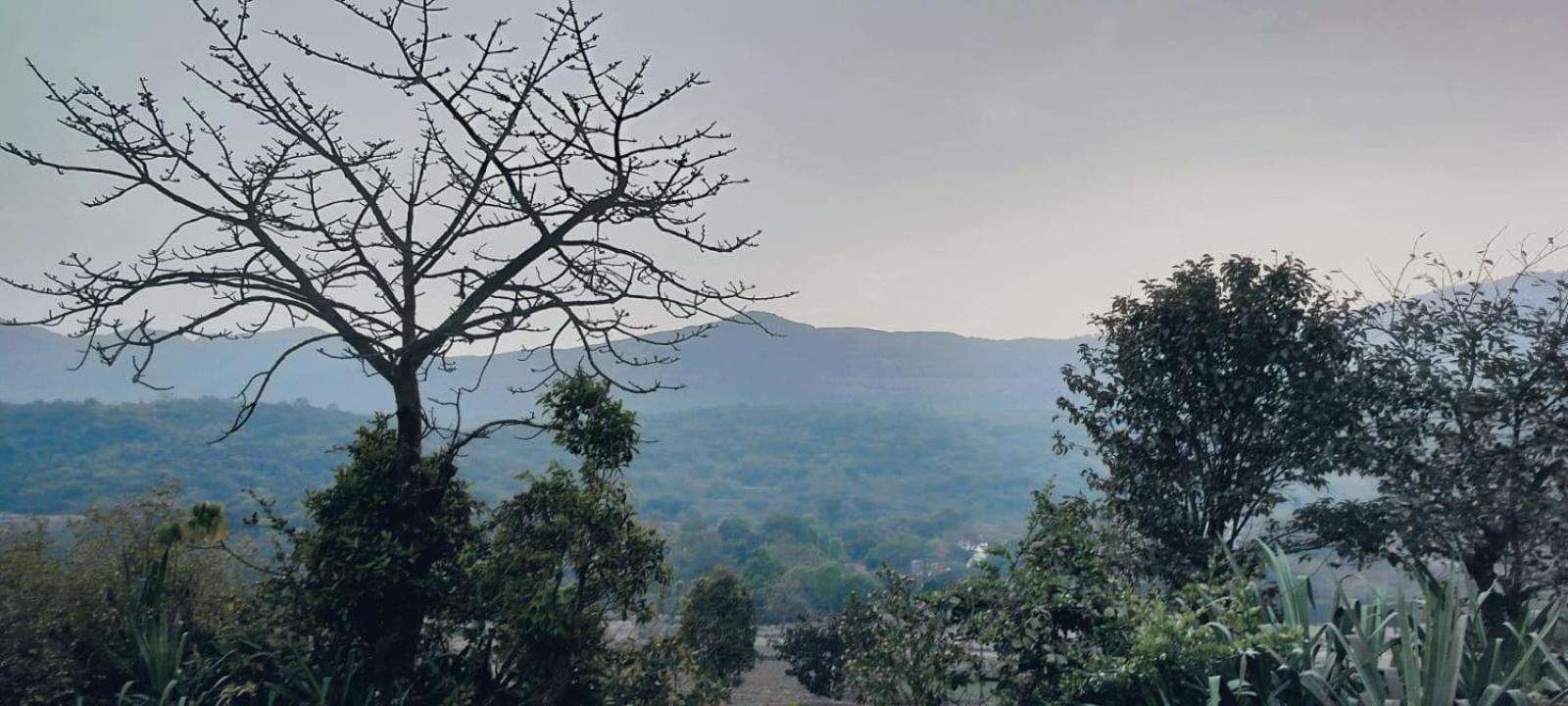 ĀmbavnaThe Heart Of Heaven公寓 外观 照片