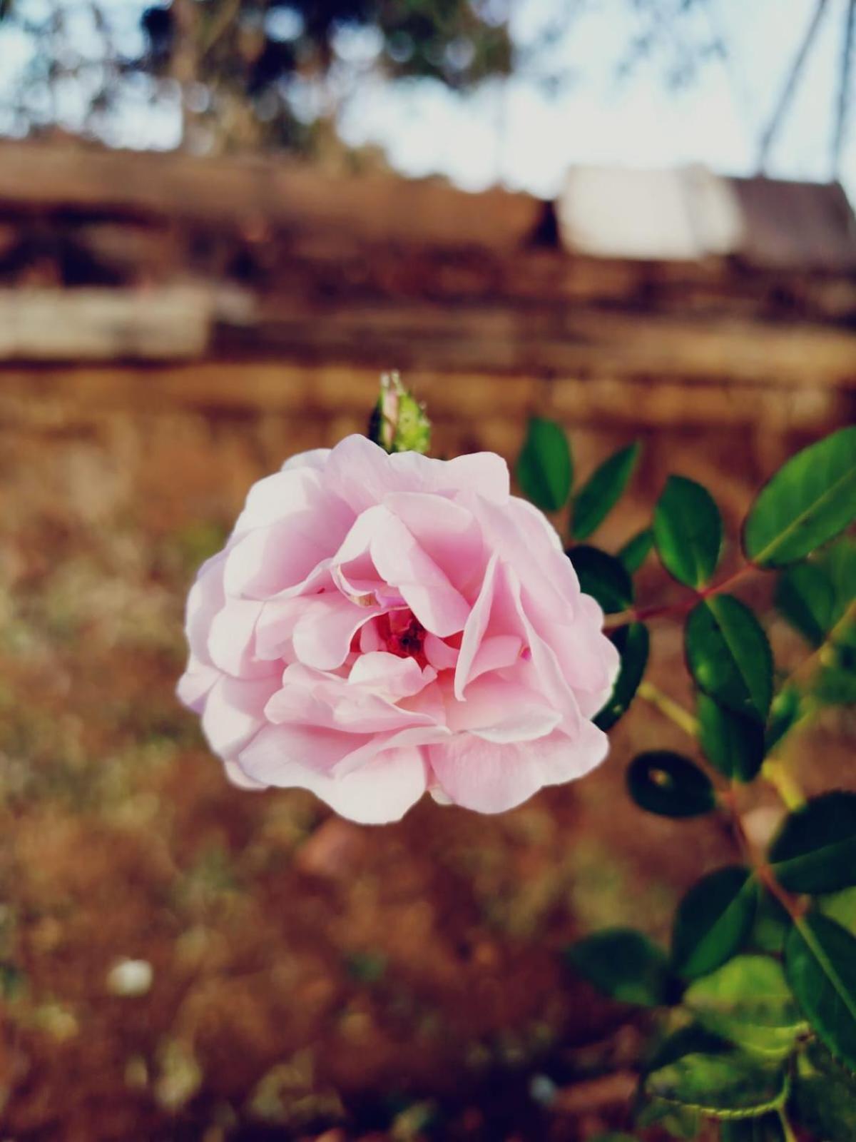 ĀmbavnaThe Heart Of Heaven公寓 外观 照片