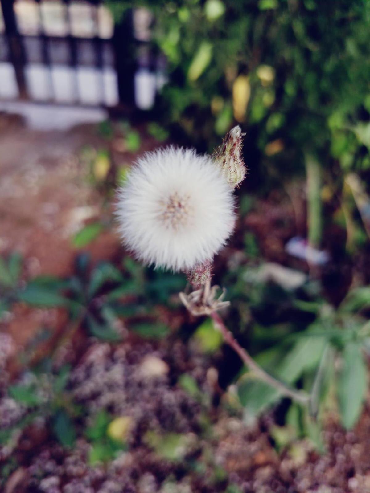 ĀmbavnaThe Heart Of Heaven公寓 外观 照片